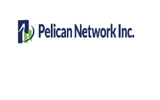 Pelican Network Inc.