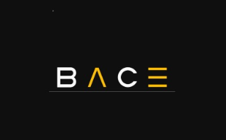 BACE Project Management